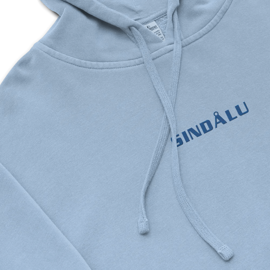 Sindalu Embroidered Hoodie- Blue product image (4)