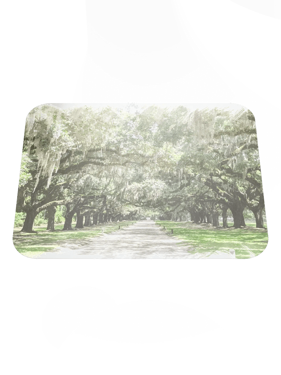 Avenue of the Oaks, Boone Hall Mousepad product image (2)