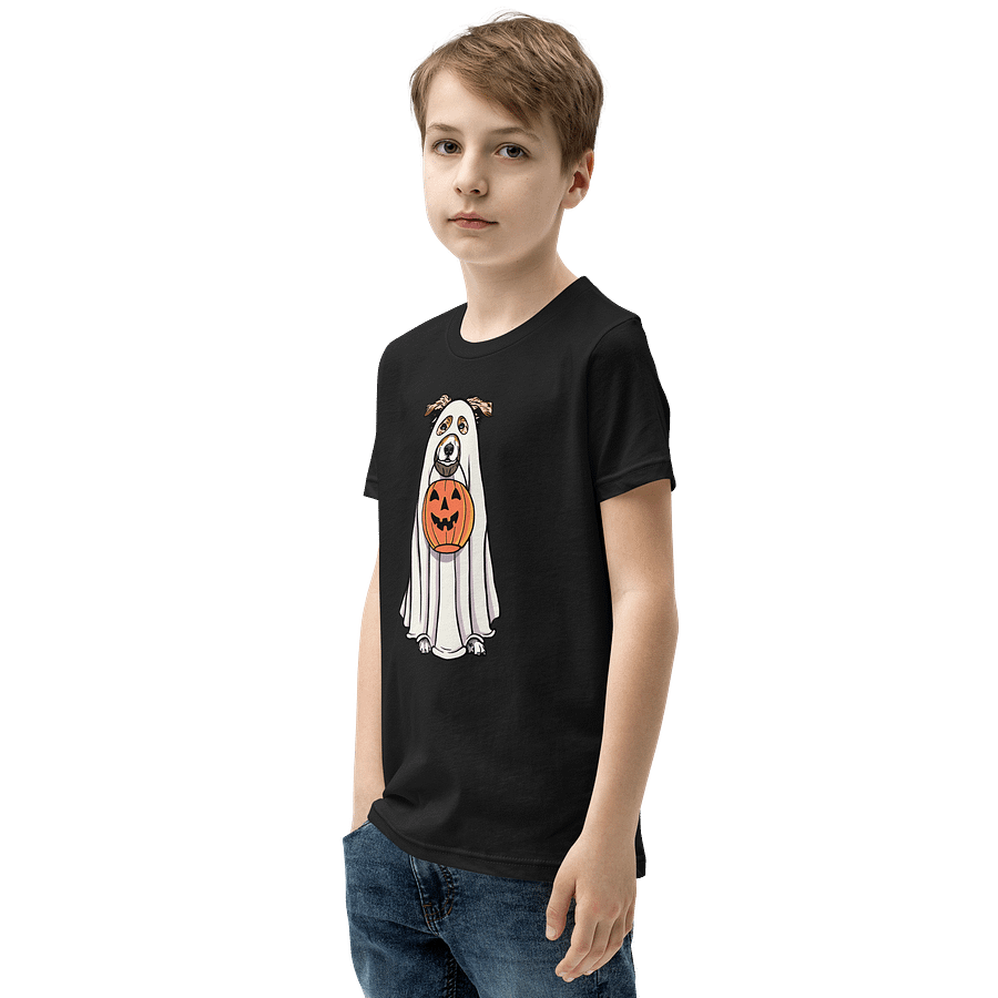 Halloween Australian Shepherd(Red Merle) Youth T-Shirt product image (7)