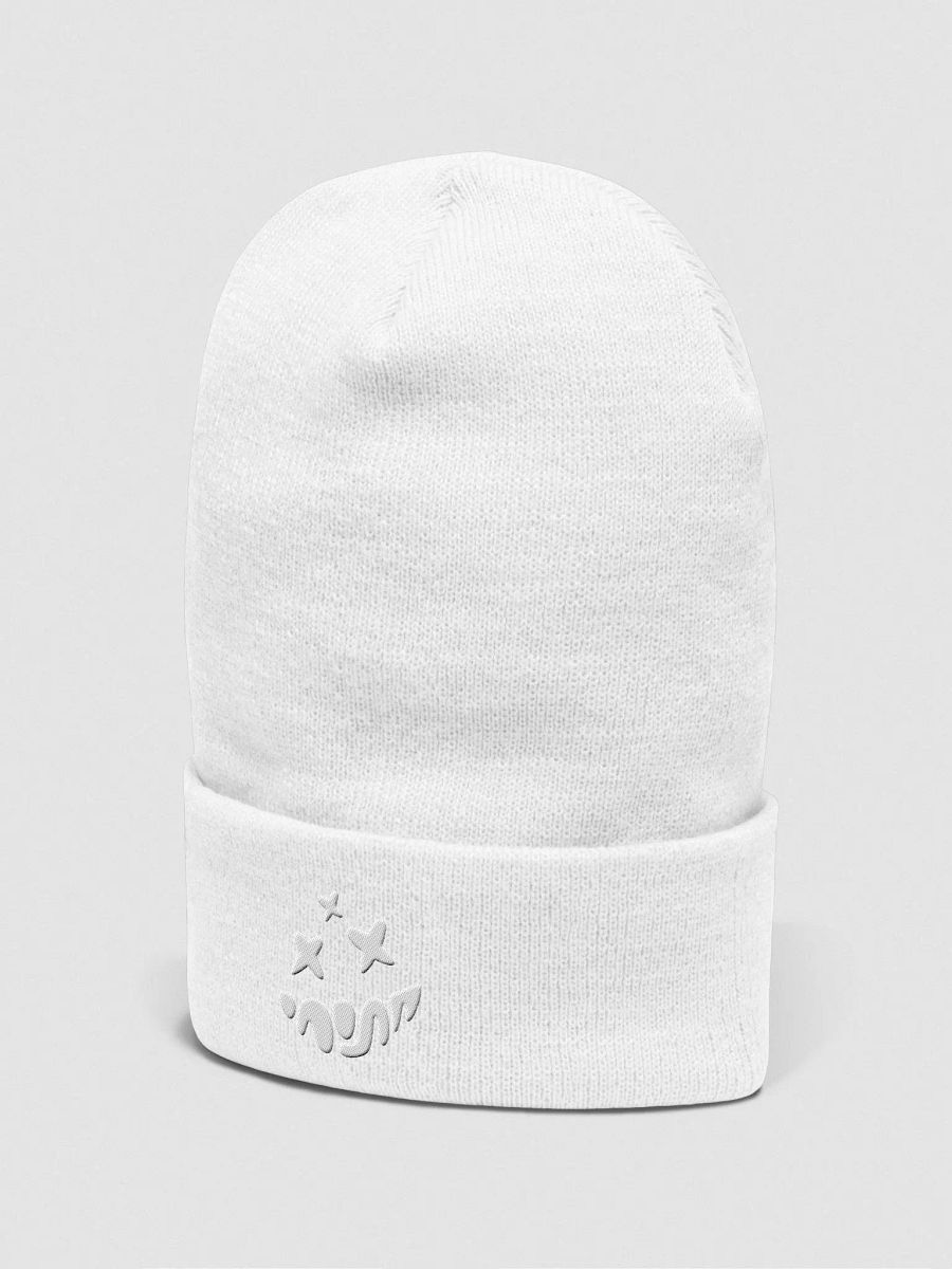 The Beanie - Whiteout Edition product image (2)