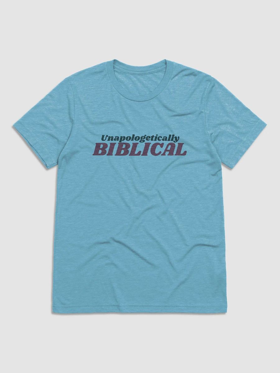 Men's T-Shirt: Unapologetically Biblical (more colors available) product image (1)