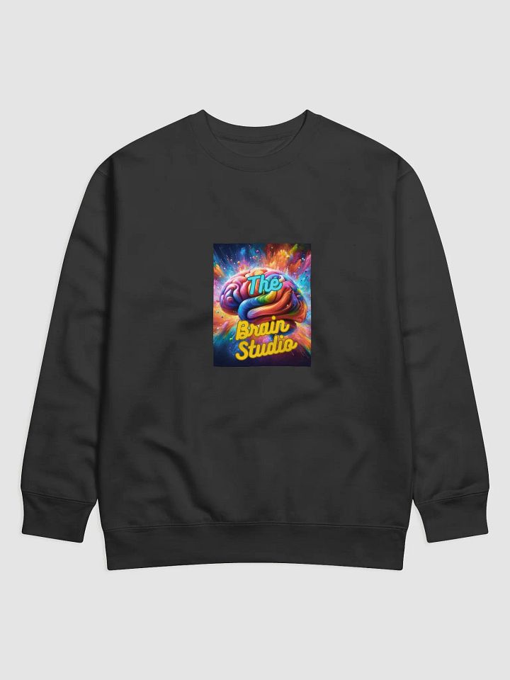 Brain Studio SWEATSHIRT (C) product image (1)