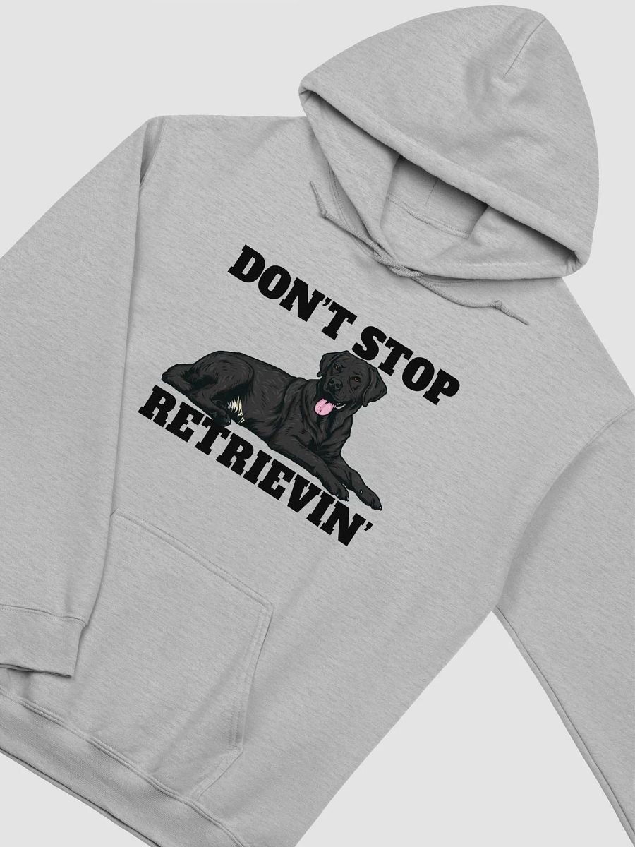 Don't Stop Retrievin' Hooded Sweatshirt of a Labrador Retriever(Black) | Funny Hoodie for Lab Paw-rents product image (27)