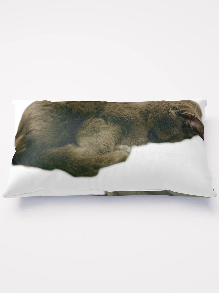 Smokey & Zoey Sleepy Pillow product image (1)