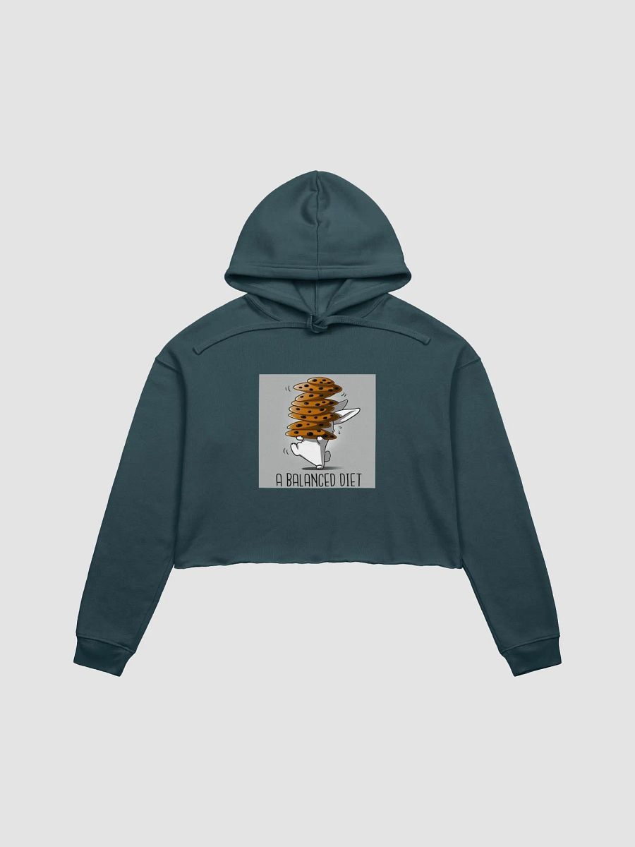 Balanced Diet Cookie Bunny Crop Hoodie product image (4)