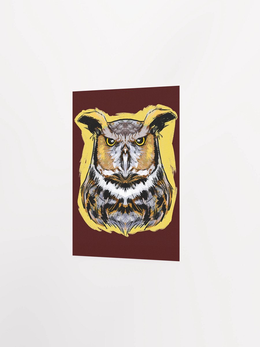 Barn Owl product image (5)
