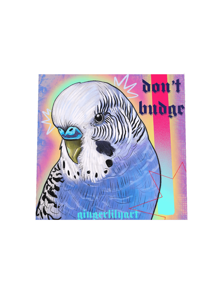 budgie print product image (4)