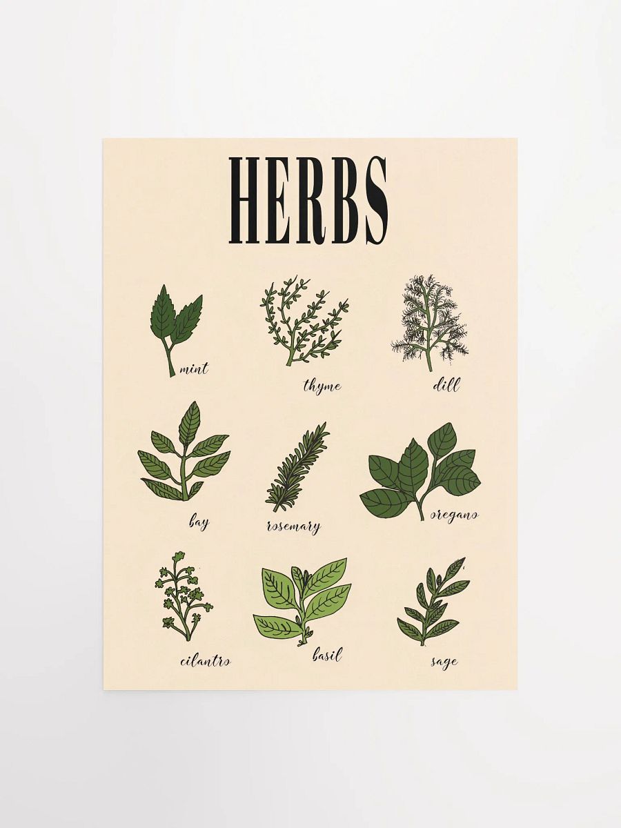 Vintage Culinary Herbs poster print product image (1)
