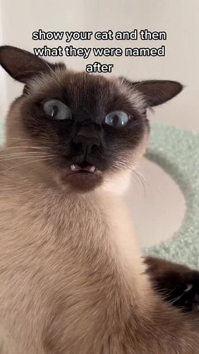 what would you have named her?