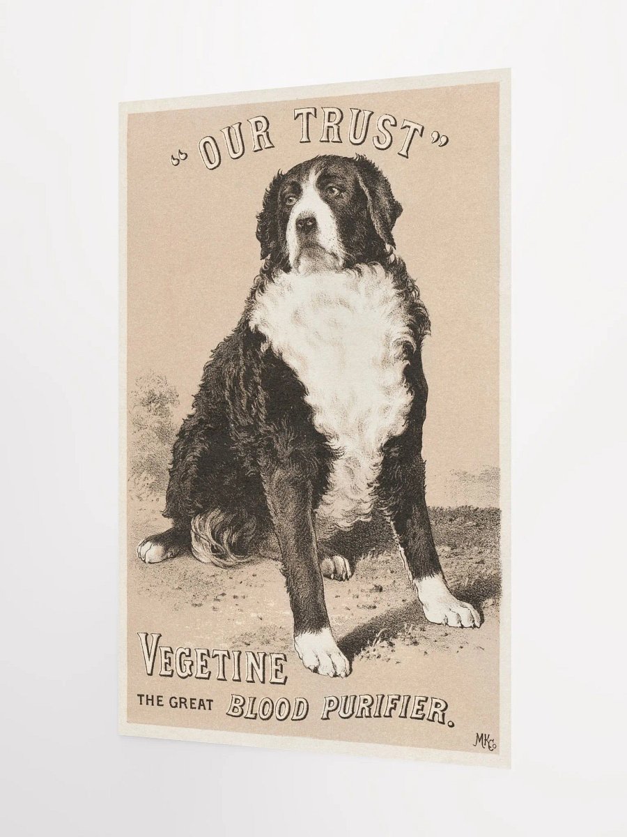 "Our trust" Vegetine, the great blood purifier product image (7)