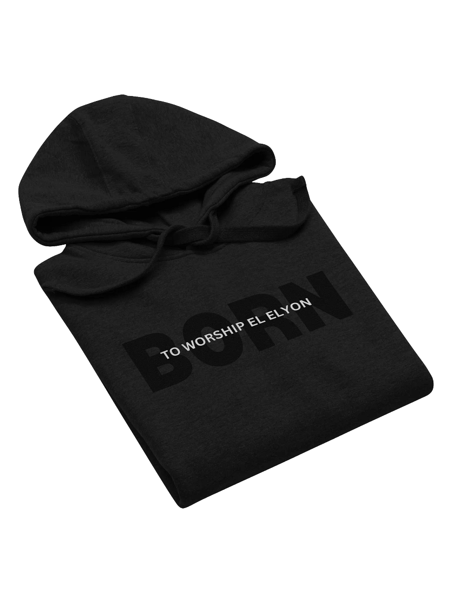 Born to Worship El ELYON Unisex Hoodie product image (22)