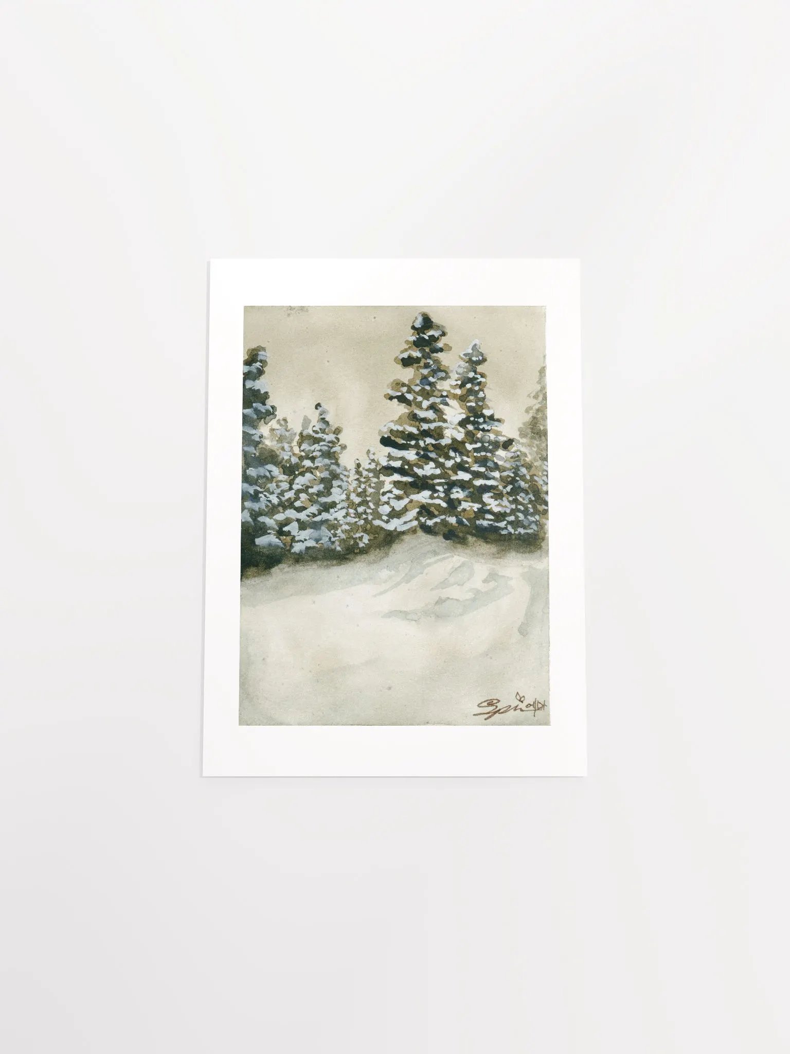 Alaska Forests product image (8)