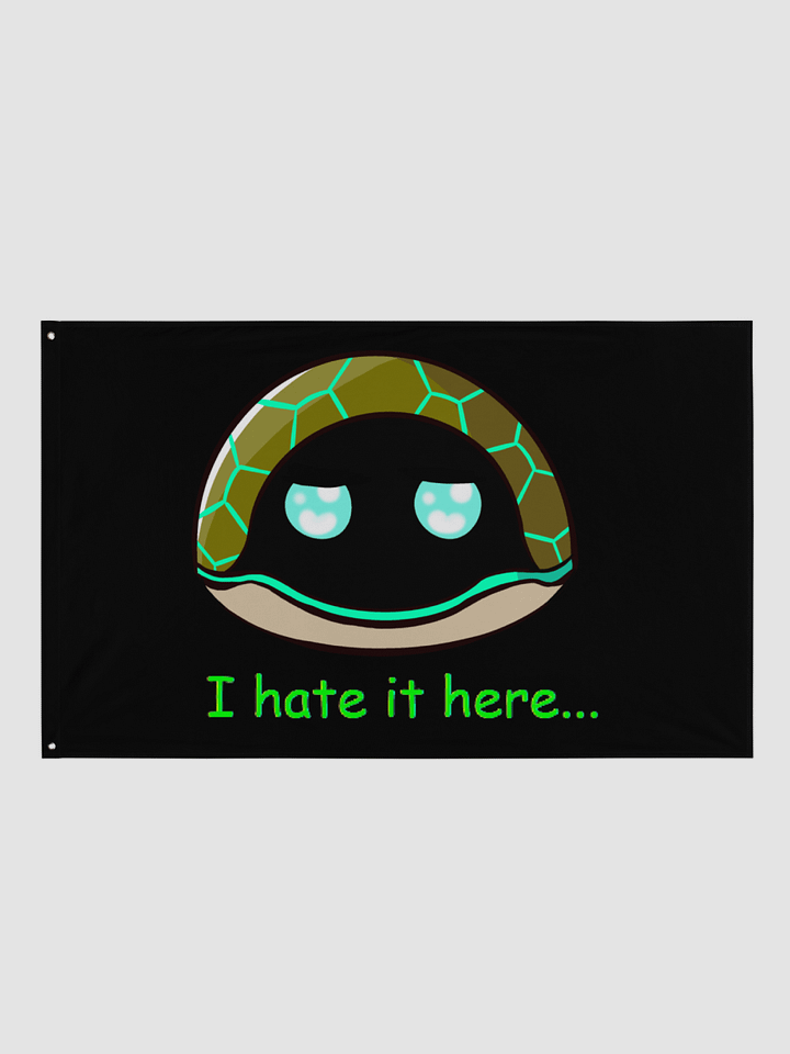 I hate it here... Black Flag product image (2)