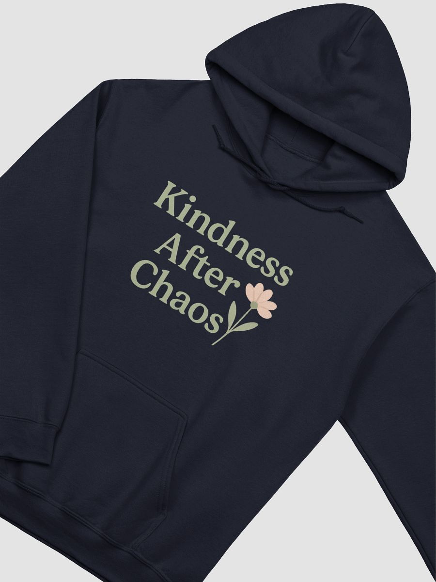 Kindness After Chaos Hoodie product image (4)