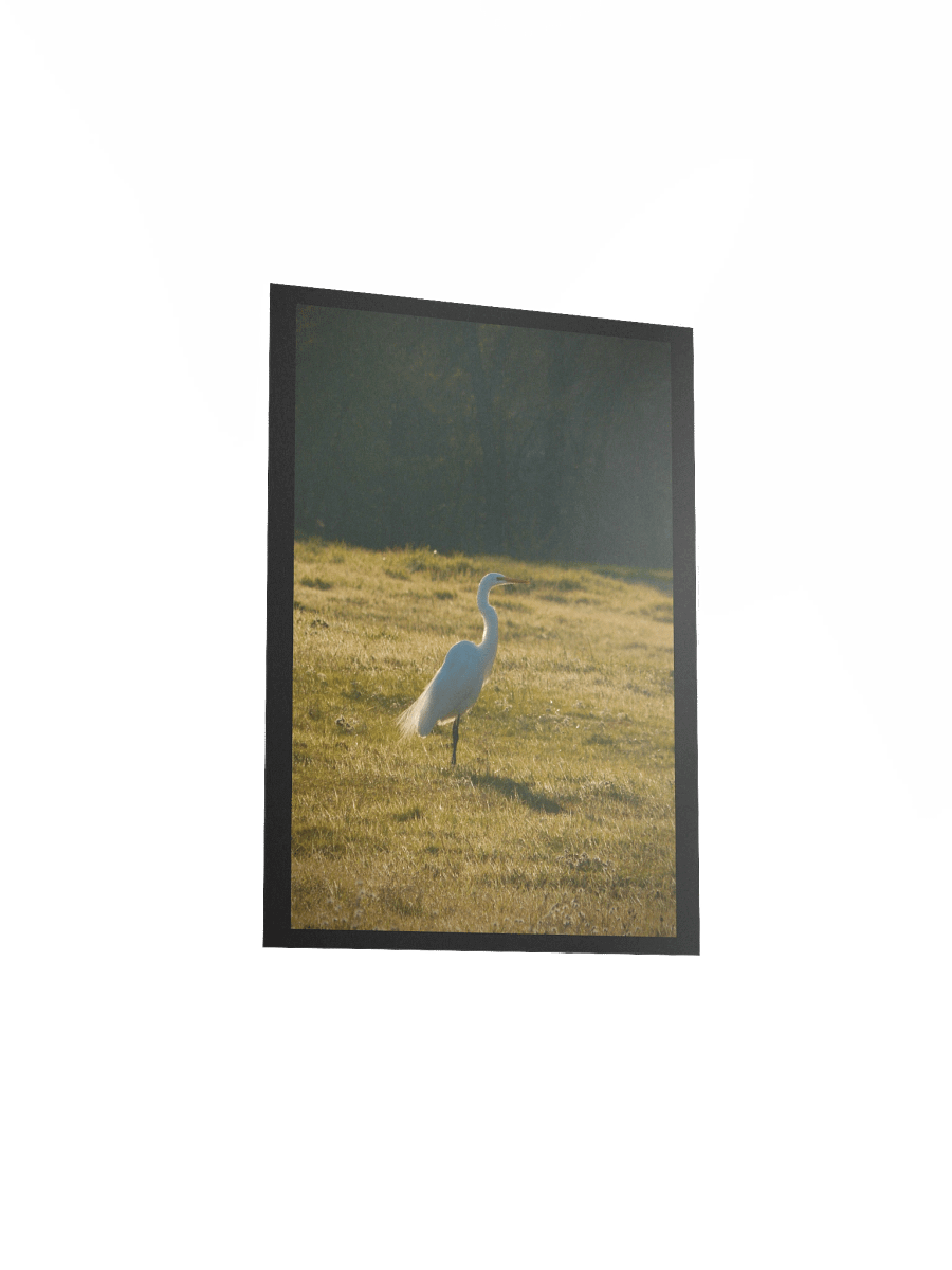 Full of Egrets product image (3)