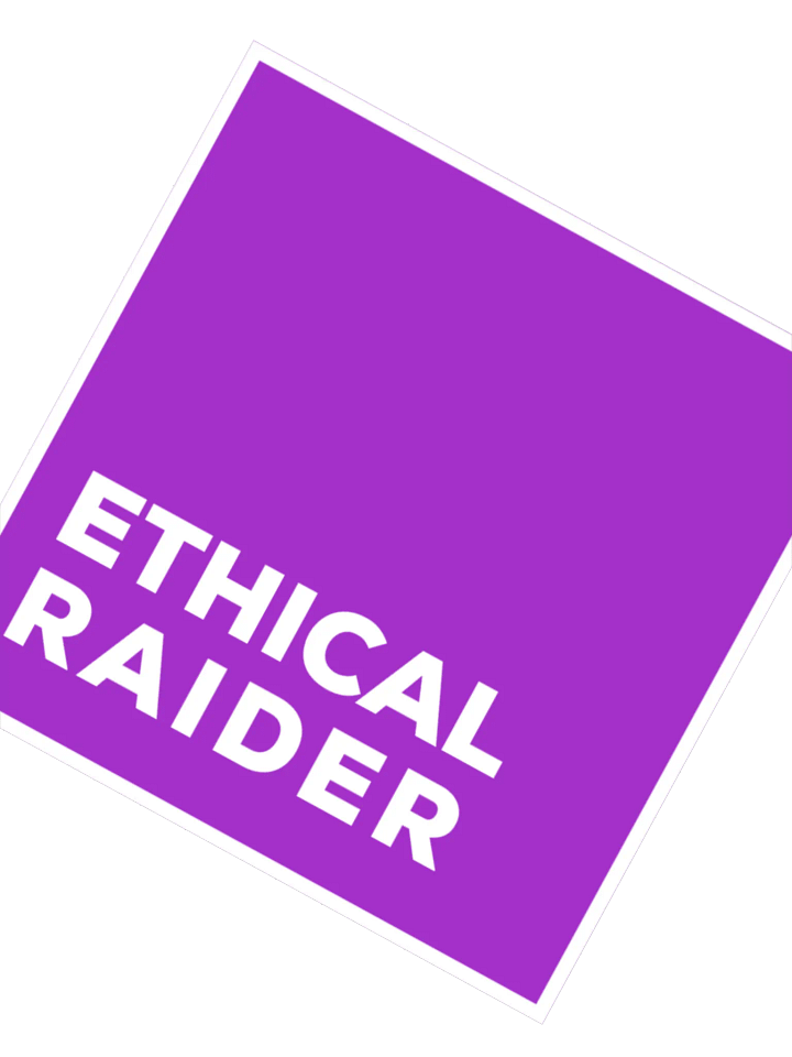 Ethical Raider (DH Purple) Sticker product image (3)