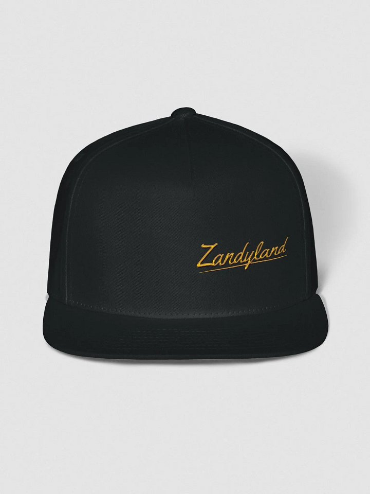 Zandyland Snapback product image (1)