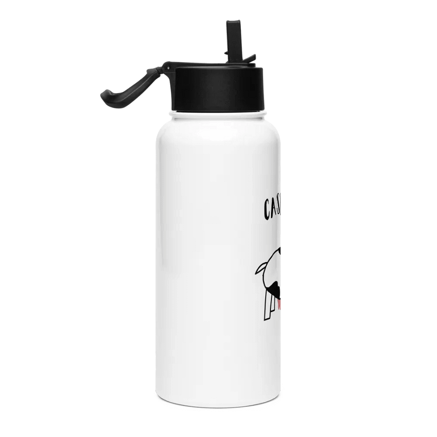 cashcow stainless steel bottle product image (4)