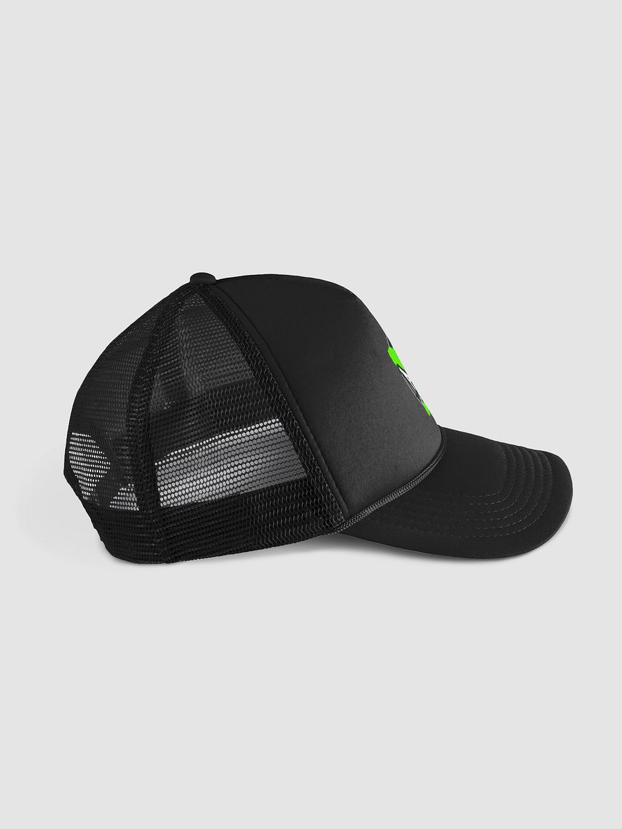 PAYNEFUL CAP product image (3)