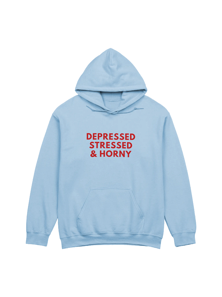 Depressed Stressed & Horny Hoodie product image (1)