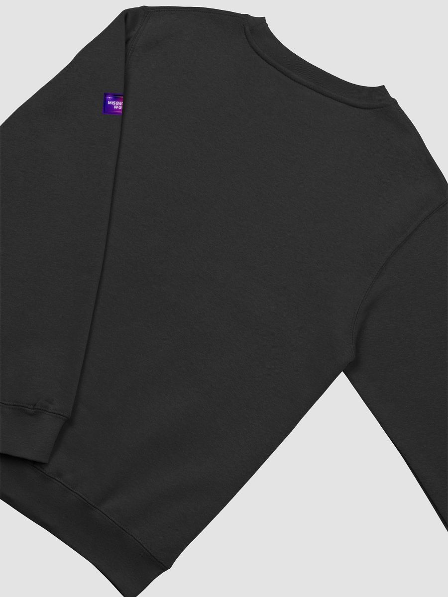 Misbehaving Pride 2025 - Sweatshirt product image (4)