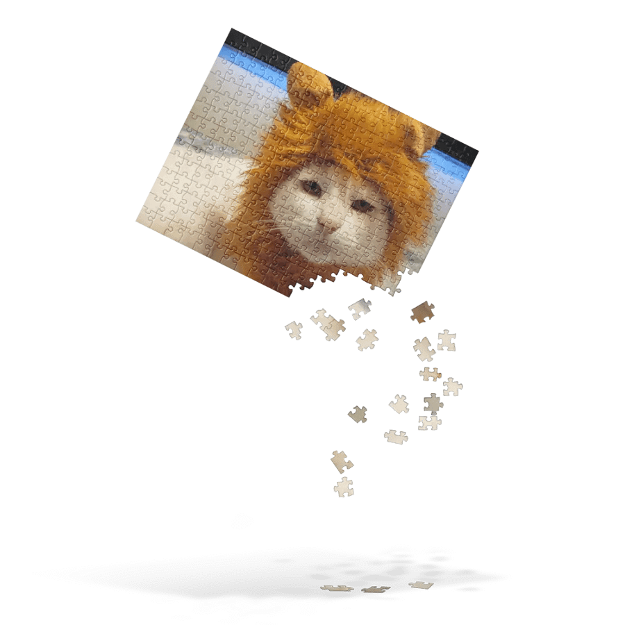 Lion Angel product image (4)