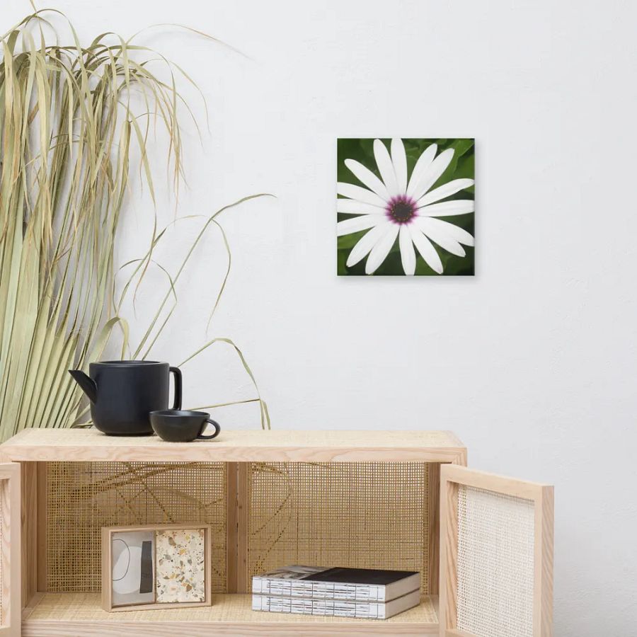Daisy on Canvas product image (9)