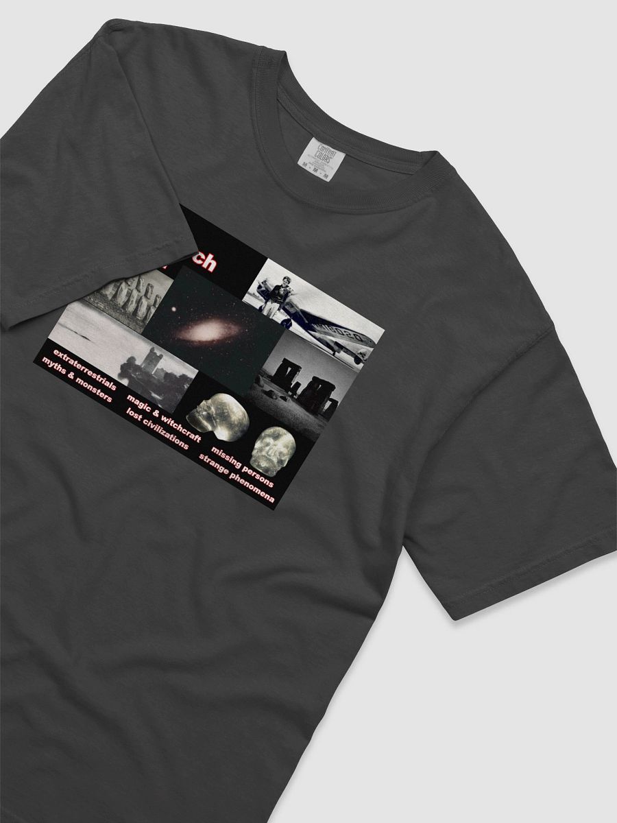 In Search Of... T-Shirt product image (15)