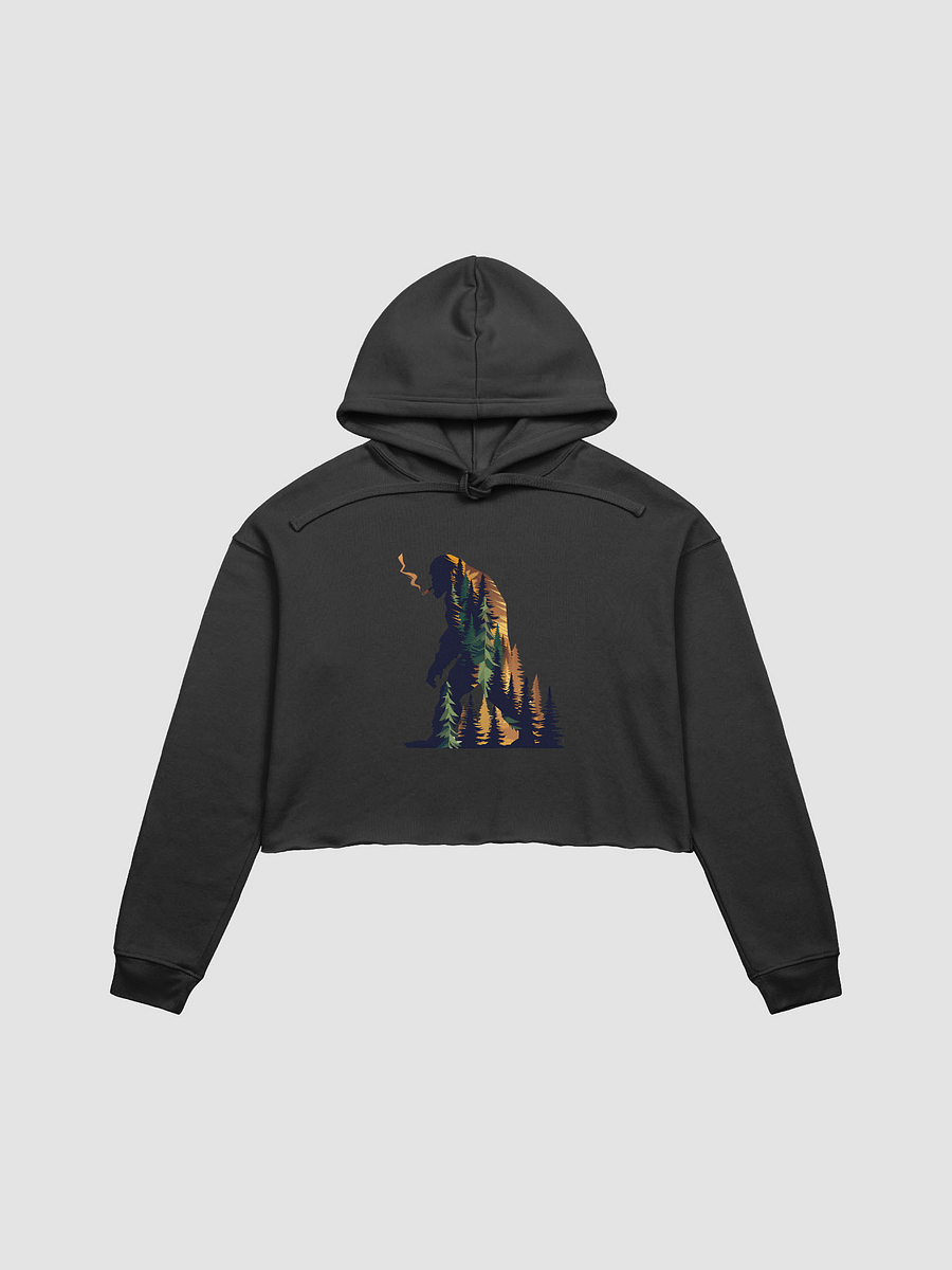 Mythical Beast Crop Hoodie product image (1)