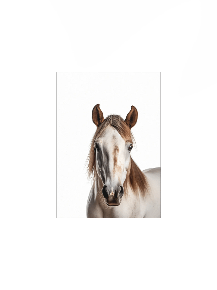 Farm Animal Spotted Horse Decor Print product image (3)