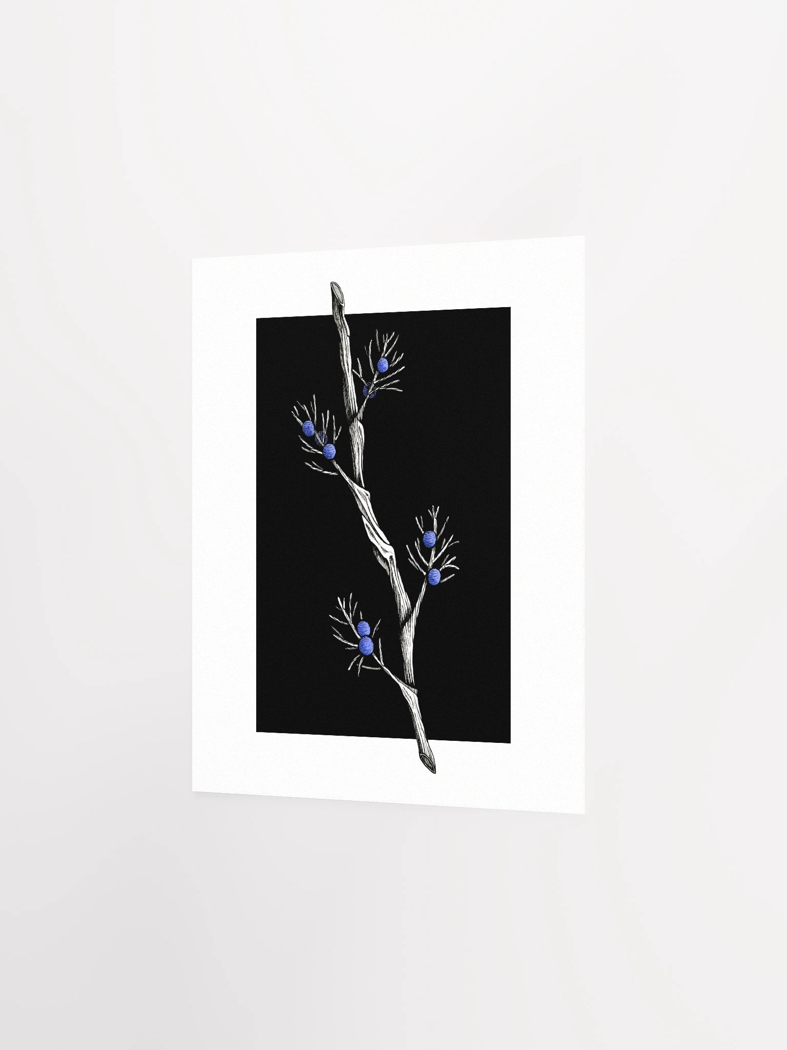 Juniper - Print product image (2)
