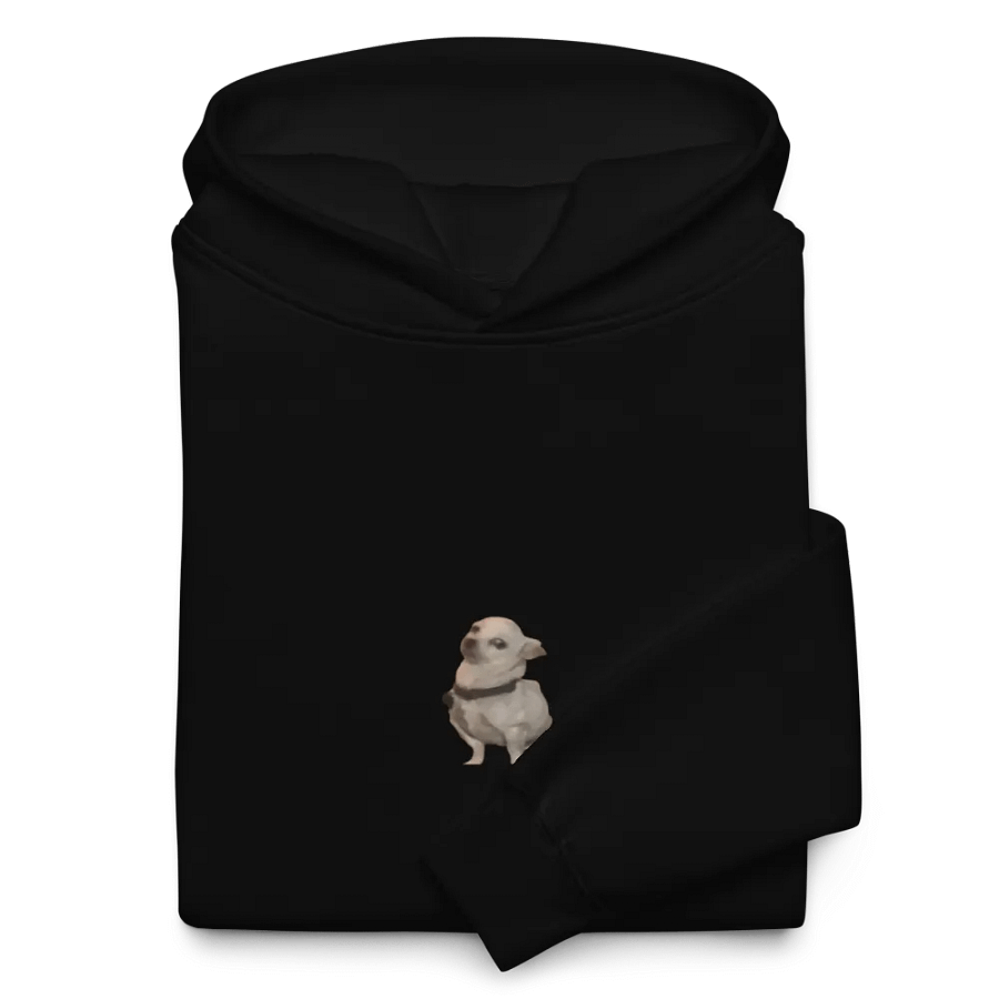 Archie Hoodie 2.0 product image (10)