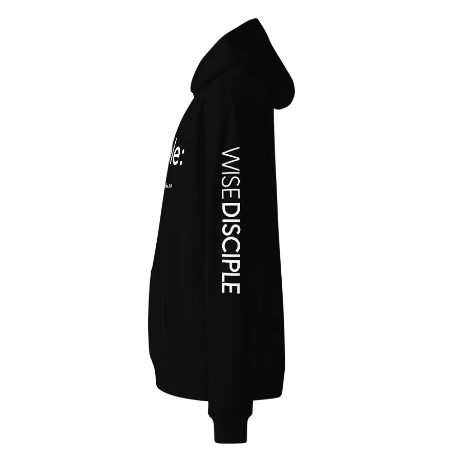Disciple Drip (Black Hoodie) product image (3)