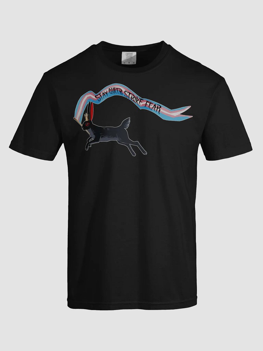 Stay queer strike fear - Trans Lou shirt product image (5)