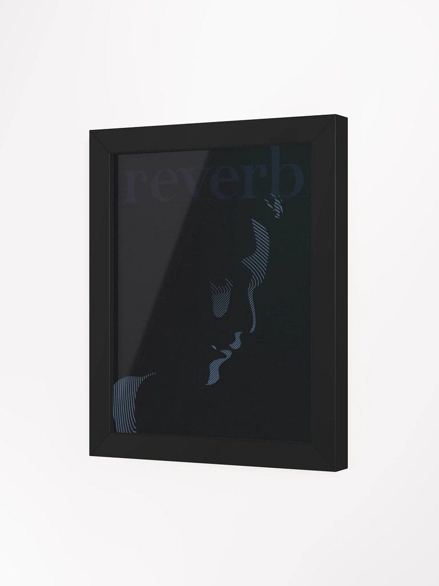 reverb product image (1)