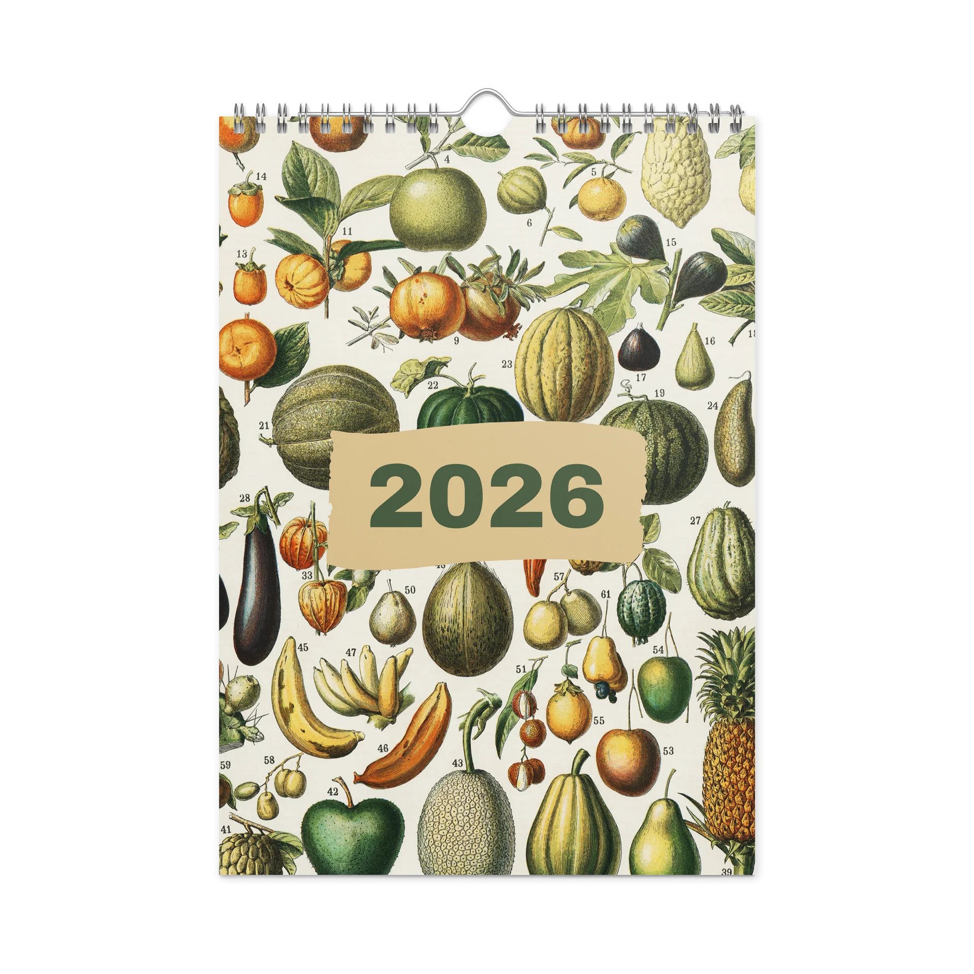 DK 2026 Wall Calendar product image (1)
