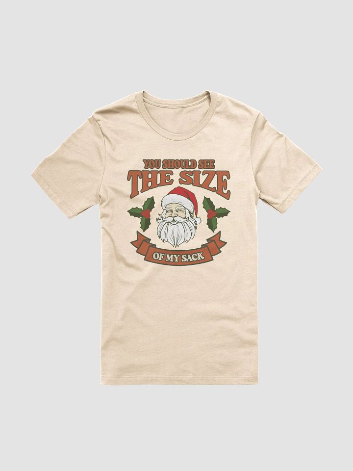 You Should See The Size of My Sack Funny Santa T-Shirt product image (7)