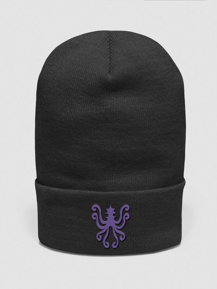 Beanie #6 product image (1)