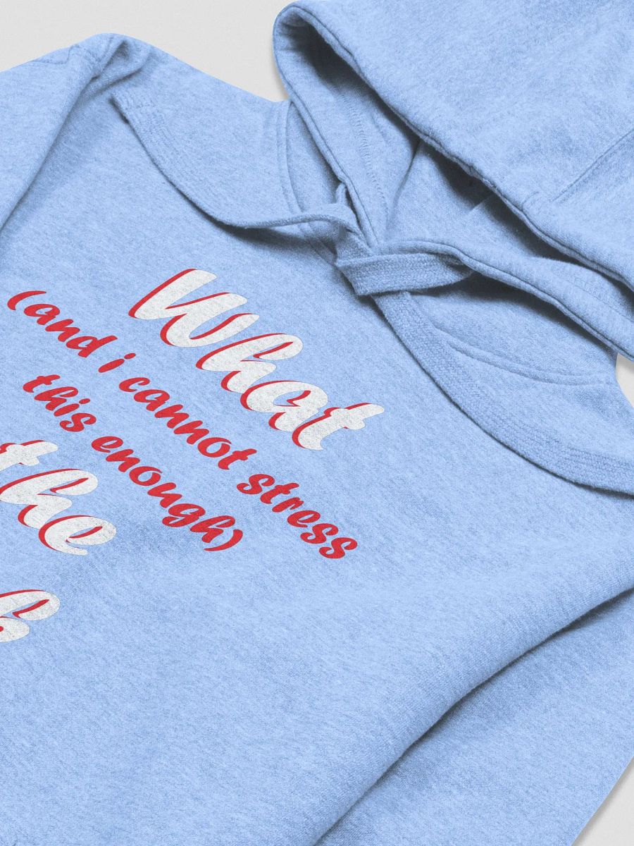 WTF Hoodie product image (33)