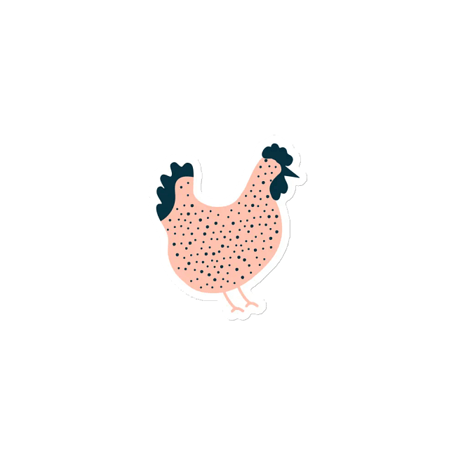 Pink Chicken Collection