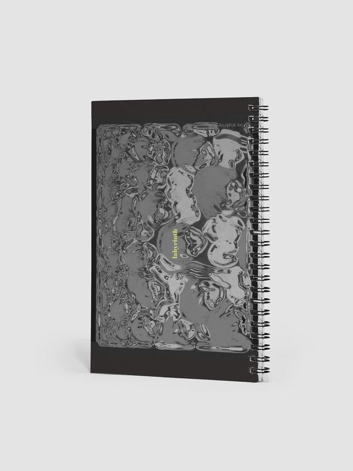 labyrinth spiral notebook product image (2)