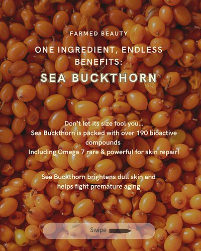 One tiny berry, BIG skincare benefits!
Say hello to Sea Buckthorn: the golden powerhouse behind the glow in Farmed Beauty’s S...