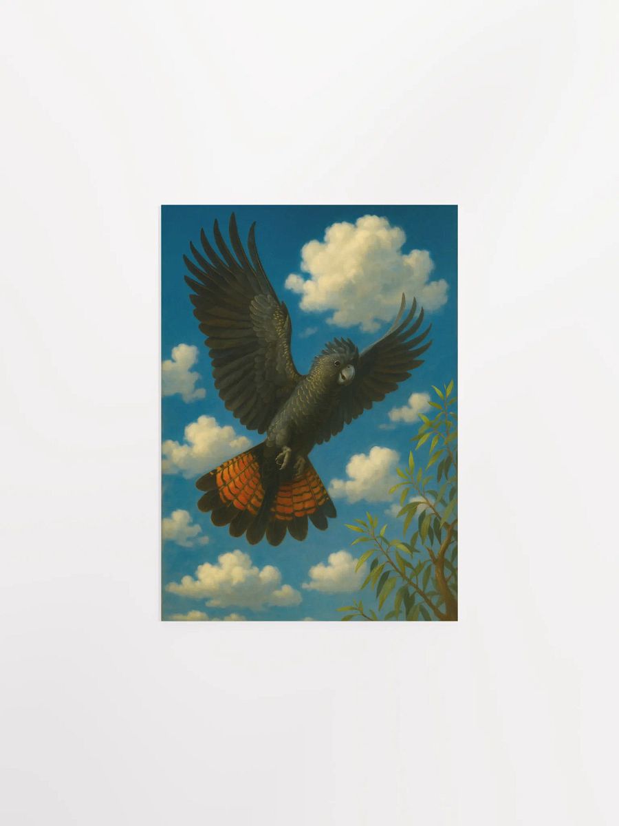 Red tailed black cockatoo. product image (1)