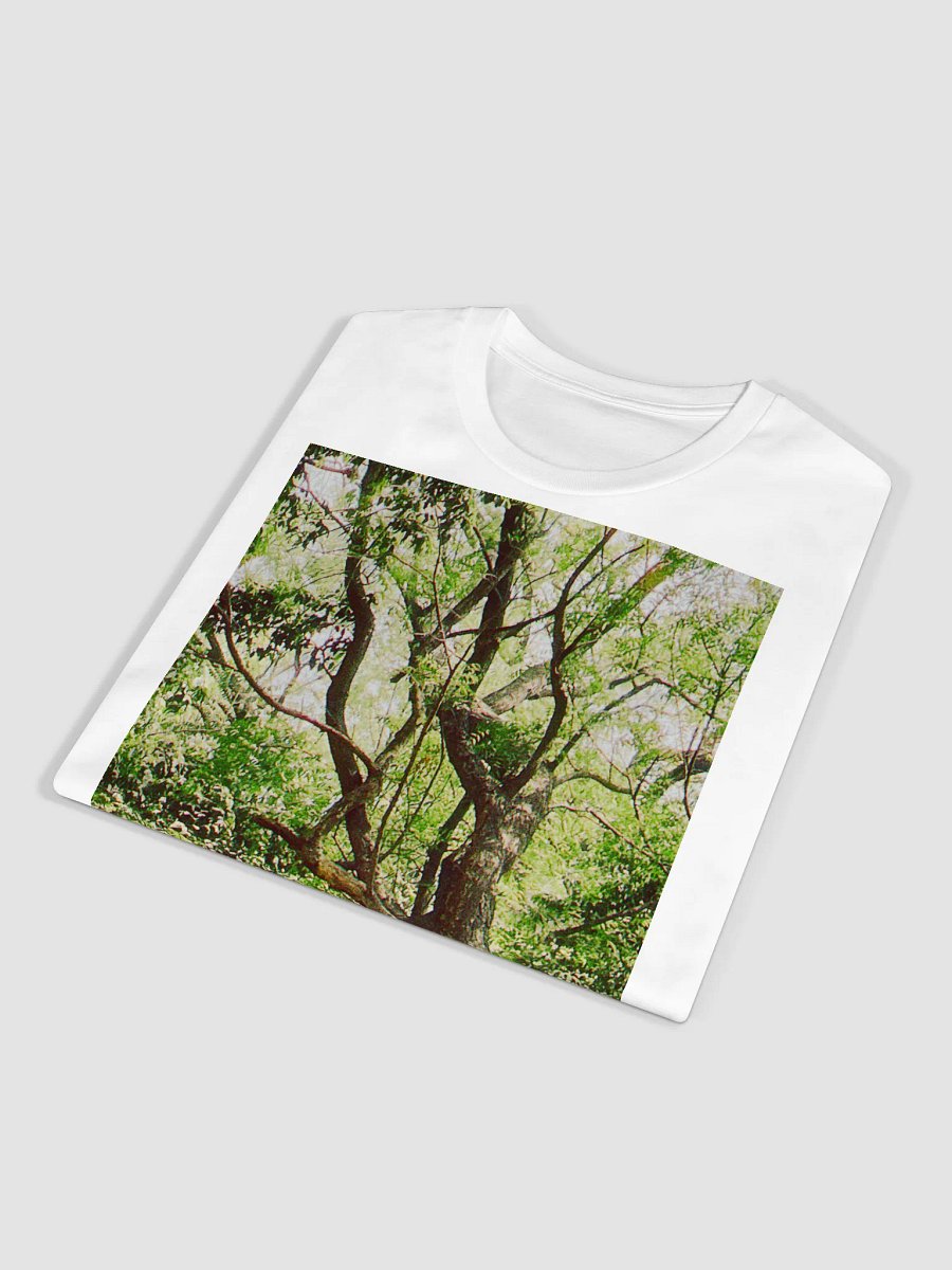 EARTH TONE DIVINE MUSIC TEE product image (4)