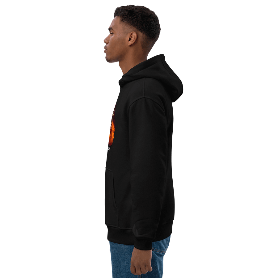 Courage & Co. Phoenix In Smog Hoodie product image (3)