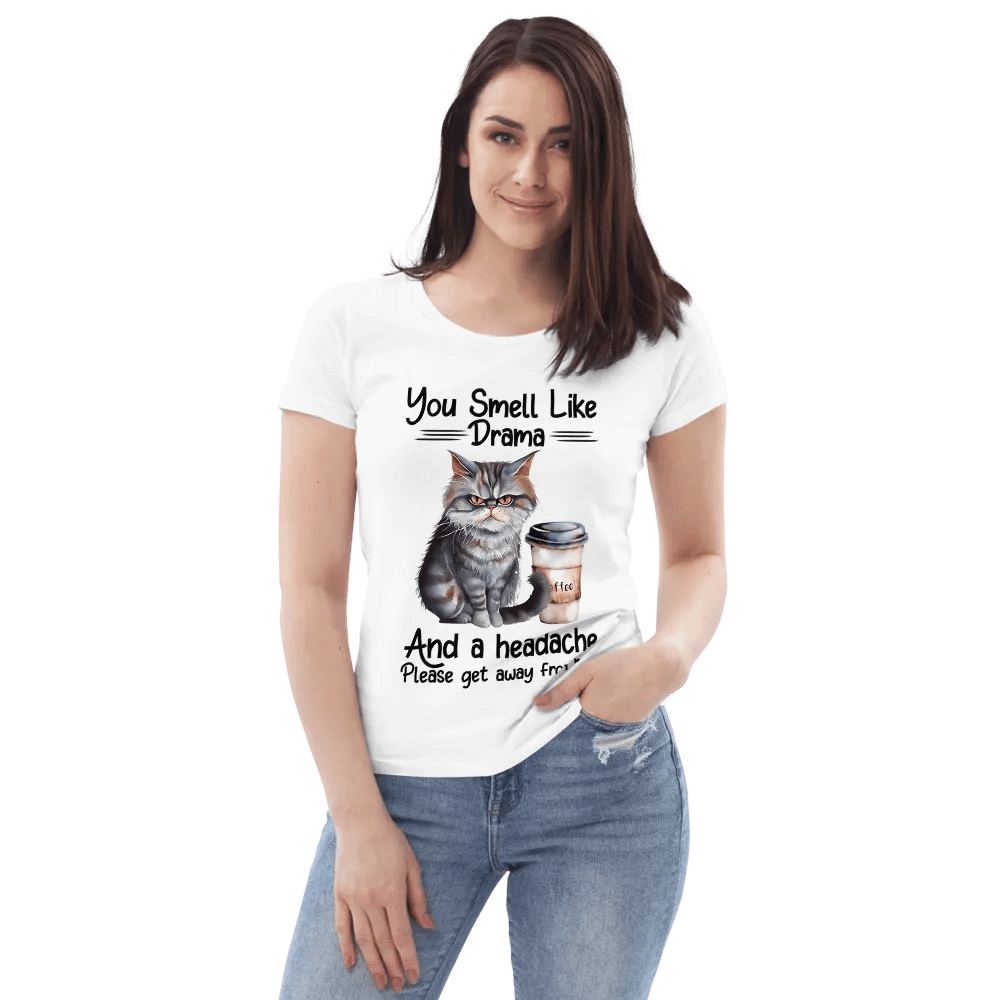 Achy Artist You Smell Like Drama Women's Tee product image (1)