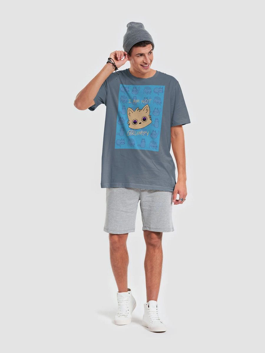 The (NOT) GRUMPY Bella Canvas T-Shirt product image (6)