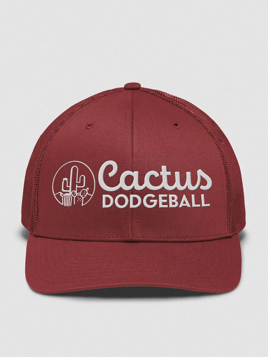 Cactus Dodgeball 