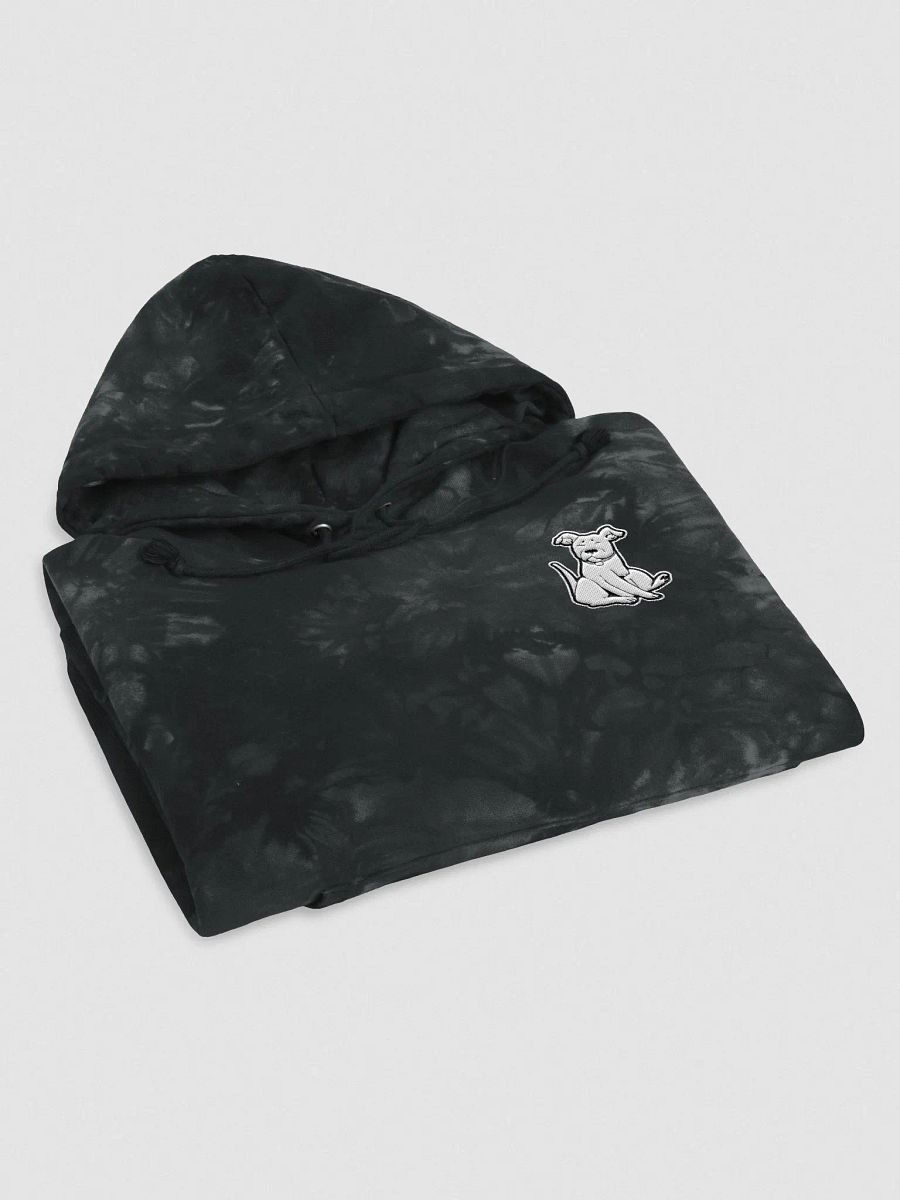 Champion Marni Hoodie product image (3)