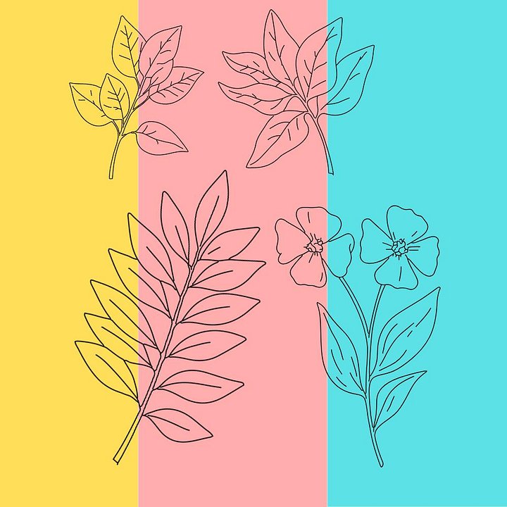 Botanical SVG Bundle: Hand-Drawn Floral Clipart & Leaf Doodles product image (2)